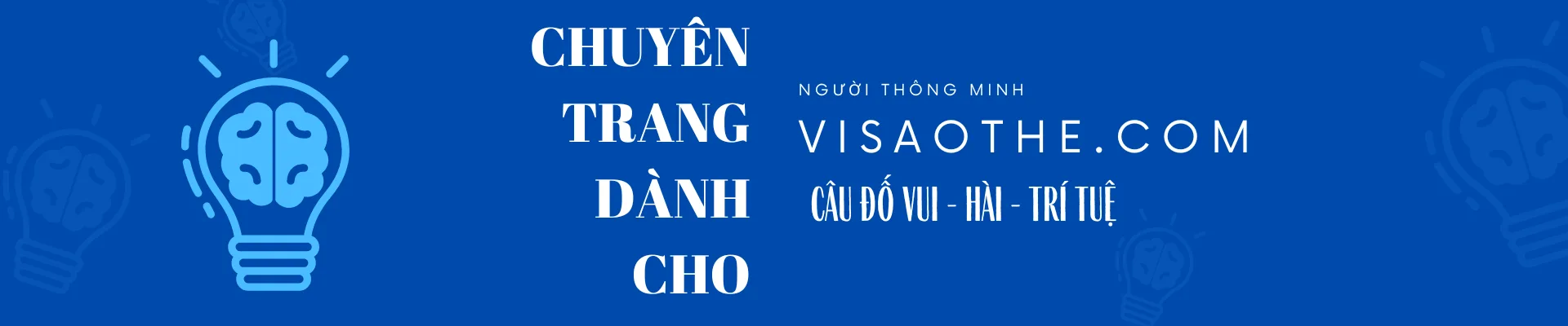 Banner website visaothe.com
